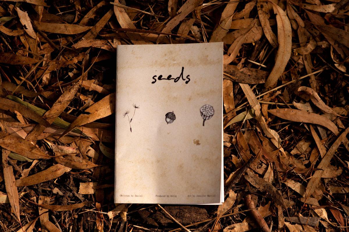 seeds view 4