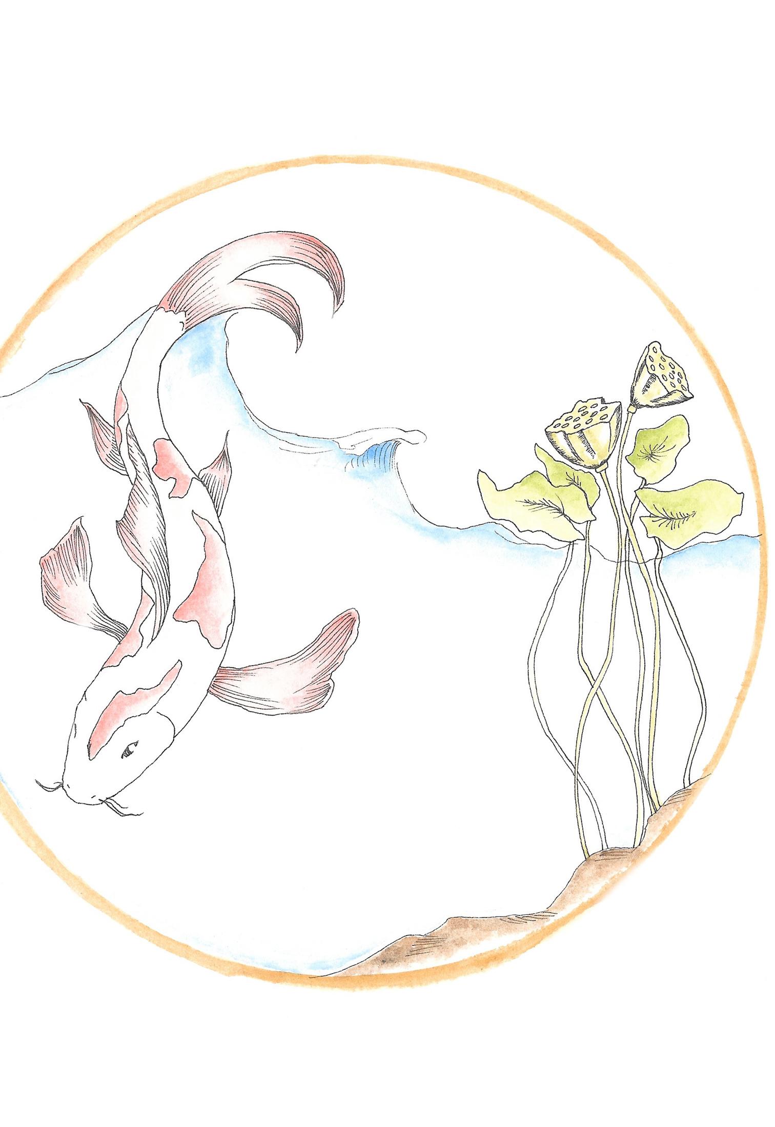 seeds view 5