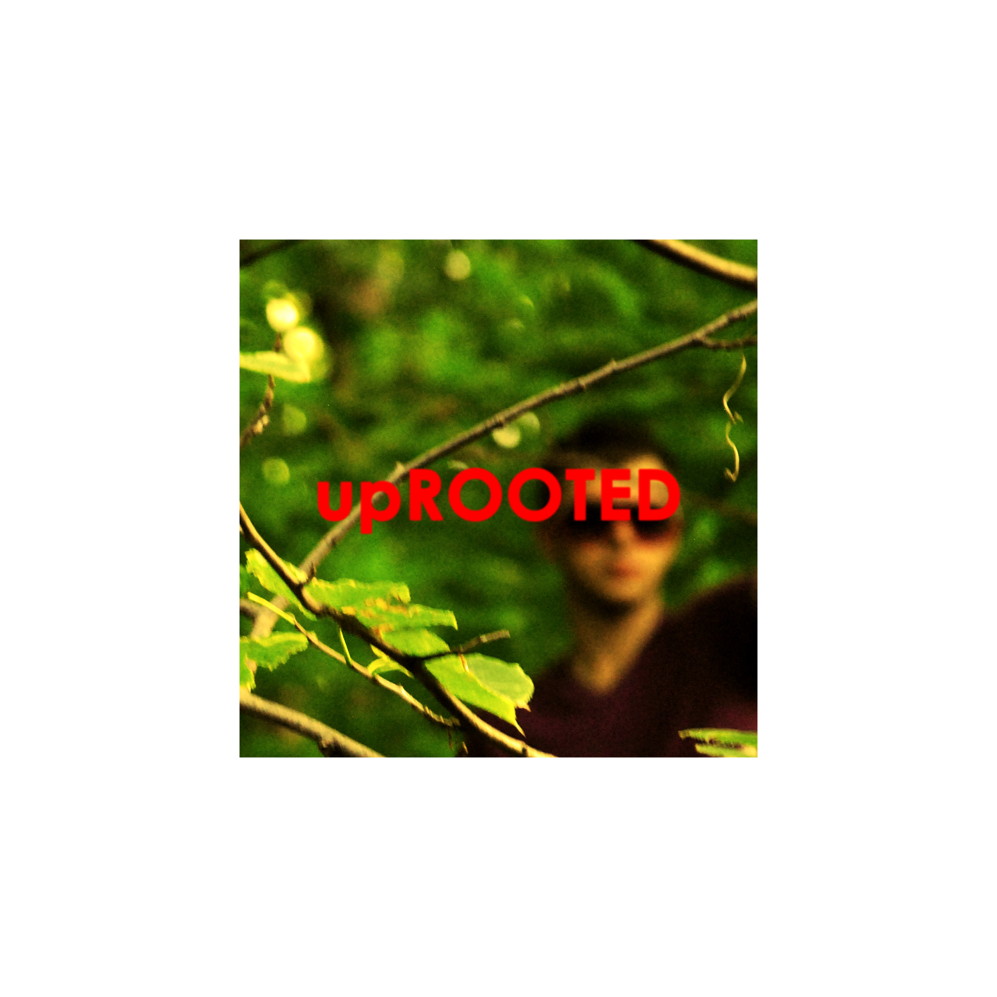 upROOTED view 3
