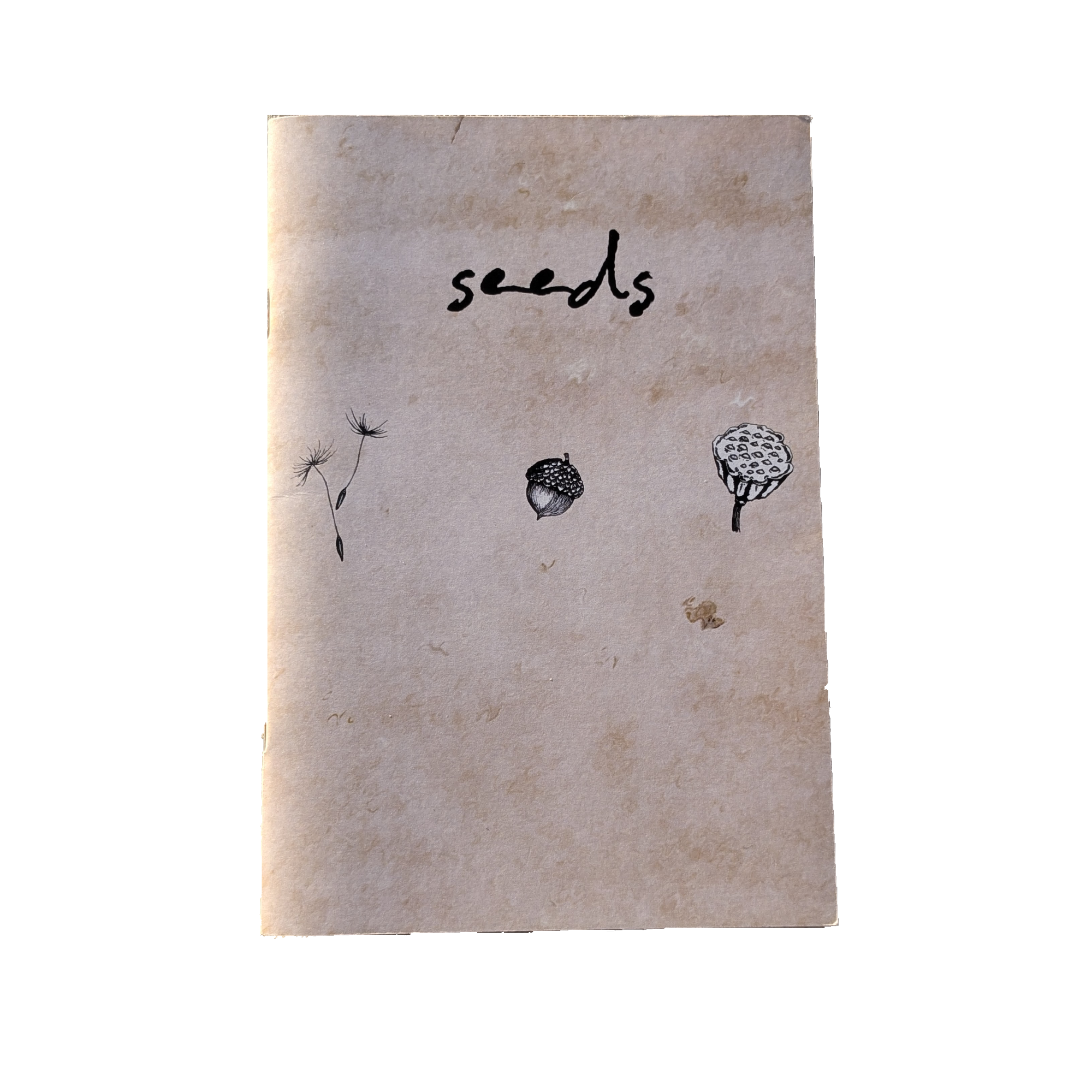 seeds